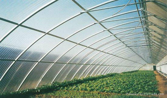 Polycarbonate Greenhouse Panels  2