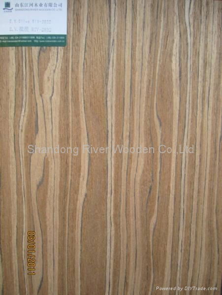 Engineered Wood Veneer 2