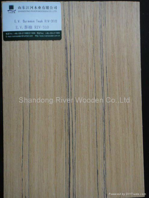 Engineered Wood Veneer 5