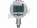 Digital Pressure Calibrator (PY801H) 1