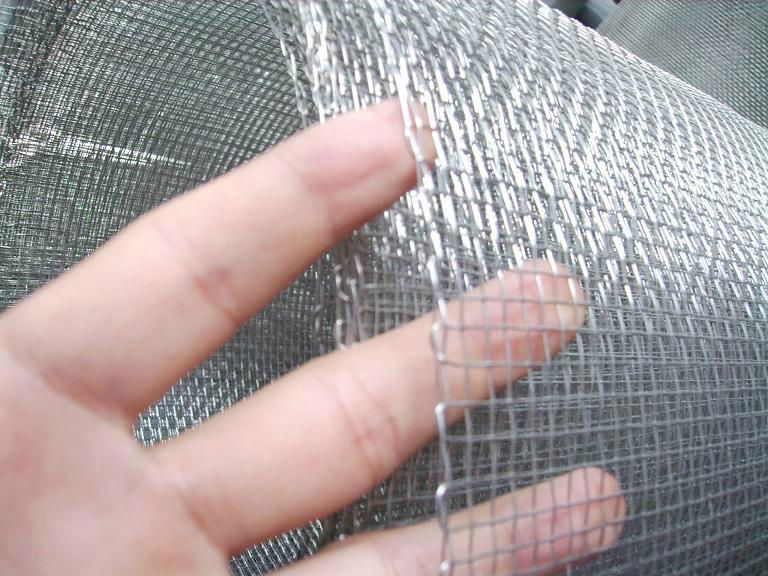 Galvanized square wire mesh