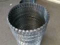 The various types Concertina Razor Wire Fencing(China Factory)  3