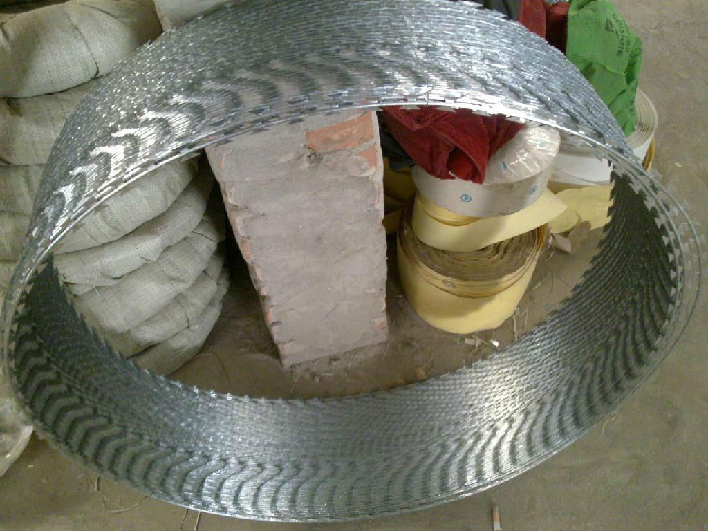 Galvanized Concertina Razor Wire/Concertina Wire/Razor Barbed Wire  2