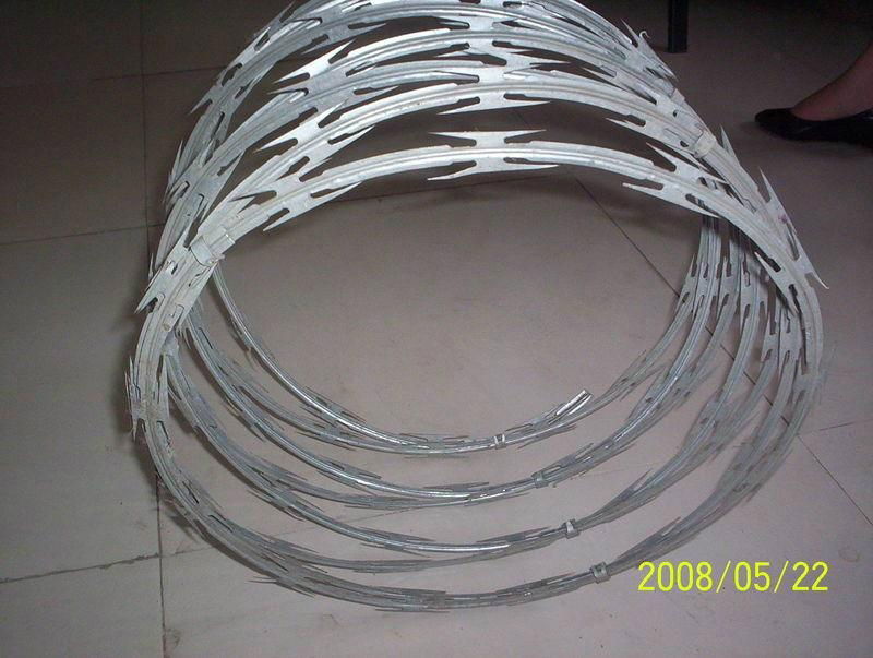 High quality of Razor Wire Fence 5