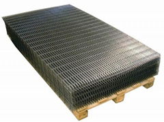 Professional suppier of welded mesh panel in Anping