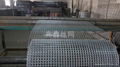 Welded Wire Mesh 5