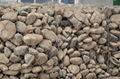 Gabion Mesh