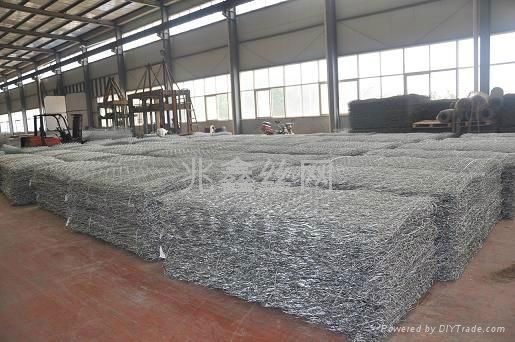 Gabion Mesh 2