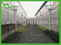 CBMgreenhouse 1