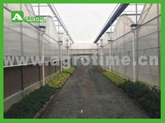 CBMgreenhouse