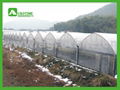 CMA1250commercial greenhouse 1