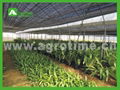 CMA3212commercial greenhouse for