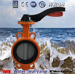 butterfly valve