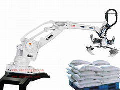 Robot Palletizing System