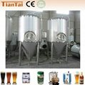 beer fermenting equipment 1