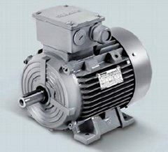 Siemens motor