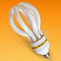 lotus energy saving lamp