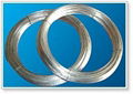 Supplying  Galvanized Wire