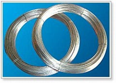 Supplying  Galvanized Wire 