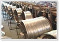 Supplying  Galvanized Wire  3