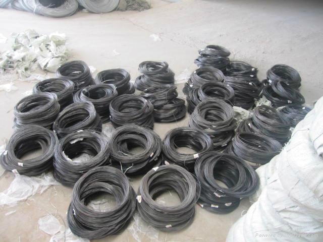 Supplying black annealed wire  2