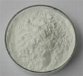 Fish collagen manufacturer 1