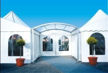 3*15m new design curved roof marquee tent   4