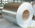 304 stainless steel coil with best price