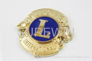 Lions Badge 3