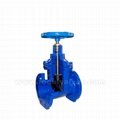 Resilient Seated Gate Valves 