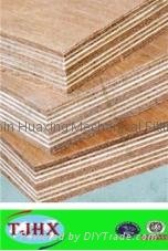 container flooring plywood