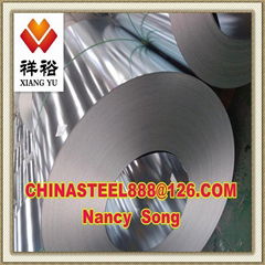 prime quality galvanized steel coil