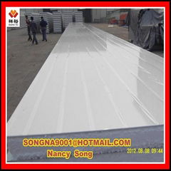 EPS Sandwich Panel