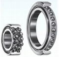 PRB Bearing 1