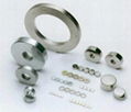 Neodymium Ring magnet 1