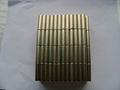 Neodymium magnet 1