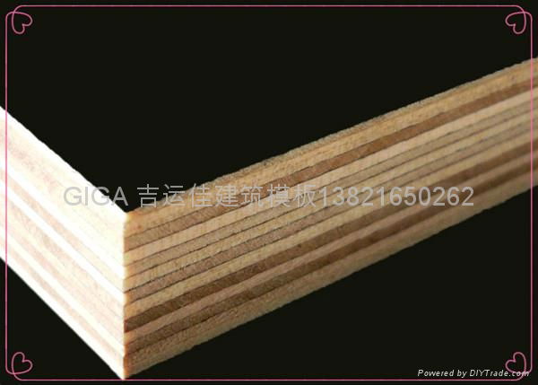 hot sell GIGA film faced plywood manufacturer 18mm