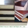 hot sell GIGA film faced plywood manufacturer 18mm 3