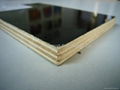 GIGA -18mm waterproof film faced plywood  2