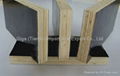 GIGA -18mm waterproof film faced plywood  4