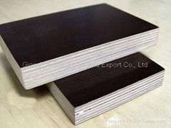 GIGA TOP30 fromwork plywood film faced