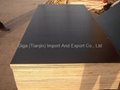 GIGA TOP30 fromwork plywood film faced shurttering plywood price 2
