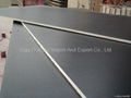GIGA TOP30 fromwork plywood film faced shurttering plywood price 5