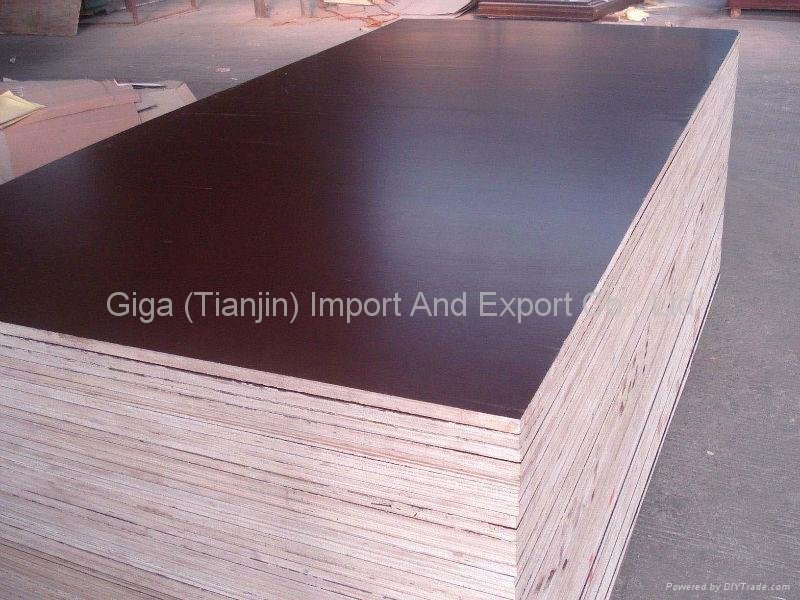 GIGA- High quality 18mm black film faced plywood