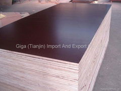 GIGA- High quality 18mm black film faced