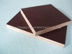 Giga- Aaa High Quality Film Faced Plywood For Construction