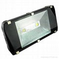 LED Flood Light (100W)