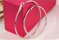 Stainless steel earrings