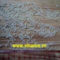 SHORT GRAIN RICE 5% BROKEN HIGH QUALITY