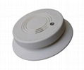 Photoelectric Smoke Alarm 1